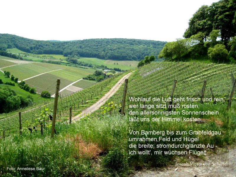 Frankenlied Frankenlied